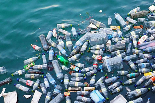 Ngành thủy sản hành động quản lý rác thải nhựa đại dương theo tiếp