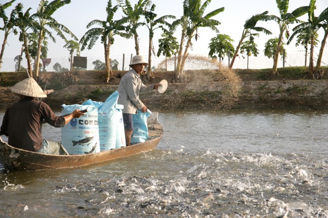 Tình hình sử dụng thuốc và chế phẩm sinh học trong nuôi trồng thủy sản tại một số tỉnh