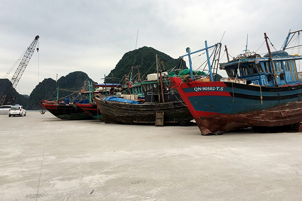 Quảng Ninh: ngăn chặn, tiến tới chấm dứt tình trạng tàu cá và ngư dân vi phạm các quy định về chống khai thác IUU ở vùng biển nước ngoài