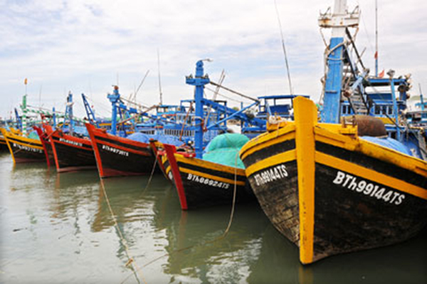 Bình Thuận: 100% tàu cá có chiều dài lớn nhất từ 24 mét trở lên đã lắp đặt thiết bị giám sát hành trình