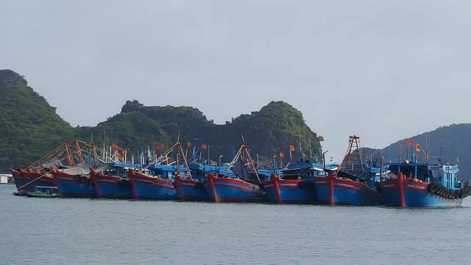 Một số kết quả đạt được trong lĩnh vực hợp tác quốc tế của ngành thủy sản Việt Nam năm 2017