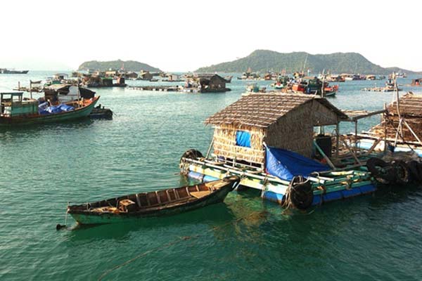 Kiên Giang: Phát triển nuôi biển theo hướng bền vững đến năm 2030
