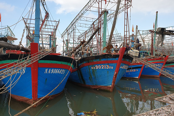 Tỉnh Nghệ An, tàu cá có chiều dài lớn nhất từ 15 mét trở lên thuộc diện phải lắp đặt thiết bị VMS chưa đạt tỷ lệ theo quy định, mới đạt 94,26%
