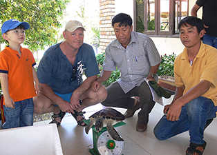 Bình Thuận tiếp nhận và thả rùa biển về đại dương