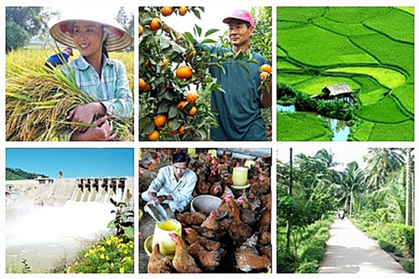 17 nhiệm vụ của ngành Nông nghiệp để thực hiện Nghị quyết số 06/NQ-CP của Chính phủ