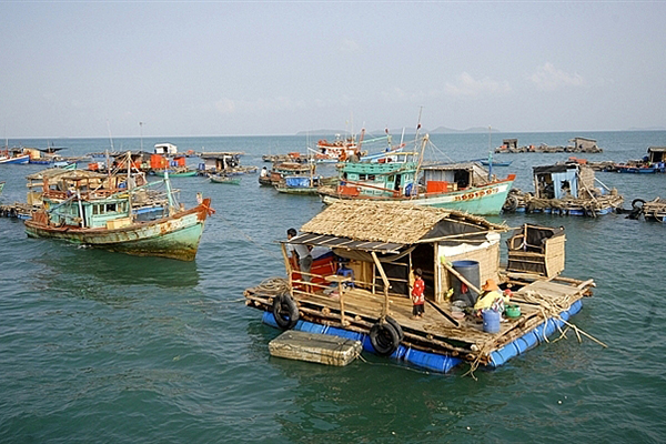 Kiên Giang phấn đấu đến năm 2030 có 14.000 lồng nuôi biển