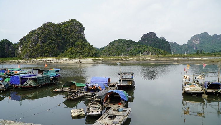 Công tác bảo vệ nguồn lợi thủy sản năm 2015 tại Quảng Ninh