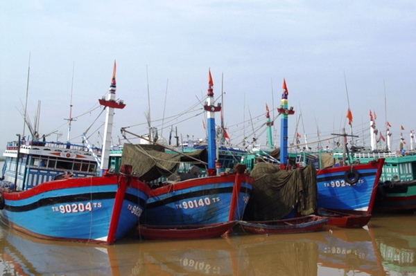 Thanh Hóa: Giao Chi cục Thủy sản tổ chức theo dõi, duy trì hoạt động Hệ thống giám sát tàu cá 24/24 giờ để giám sát chung tình hình tàu cá hoạt động trên các vùng biển qua hệ thống giám sát tàu cá