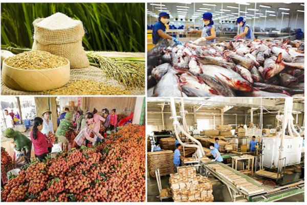 Tổng giá trị xuất khẩu nông lâm thủy sản 8 tháng đầu năm 2020 đạt 26,15 tỷ USD