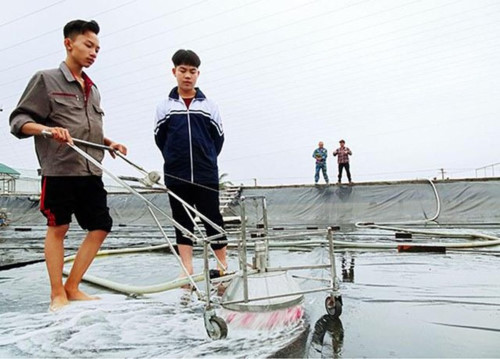 Pupils created cleaning shrimp ponds machine