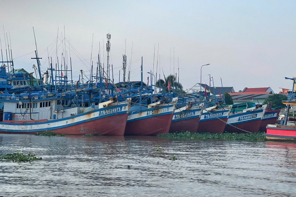 Bảo đảm sản xuất an toàn, chăm lo ngư dân bám biển dịp Tết Nguyên đán Bính