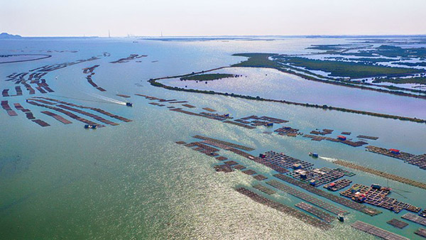 Khu kinh tế ven biển Quảng Yên (Quảng Ninh) sẽ góp phần bảo tồn và phát huy giá trị của hệ sinh thái biển Việt Nam