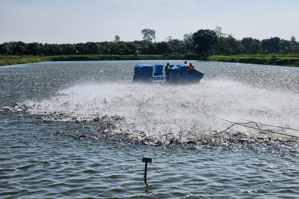 Cá tra Việt chinh phục Trung Quốc, khai thác tiềm năng Mỹ