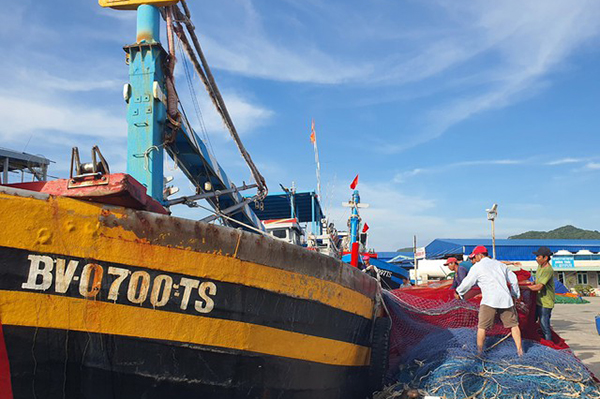 Bà Rịa - Vũng Tàu: Quyết tâm chấm dứt tàu cá khai thác hải sản bất hợp pháp ở vùng biển nước ngoài