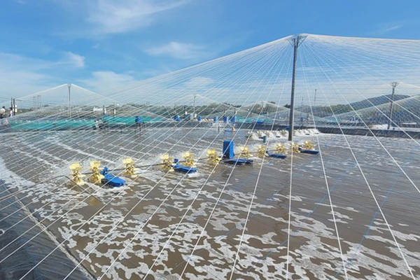 Bà Rịa - Vũng Tàu: Tổng sản lượng thủy sản tháng 01 năm 2024 ước đạt trên 34 nghìn tấn
