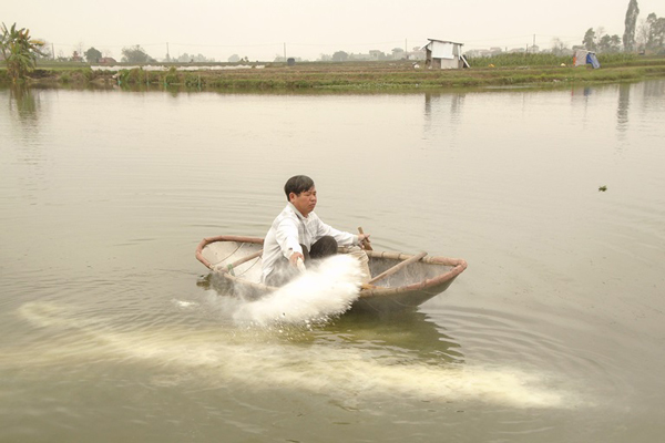 Bắc Ninh: tăng cường phòng chống dịch bệnh thủy sản