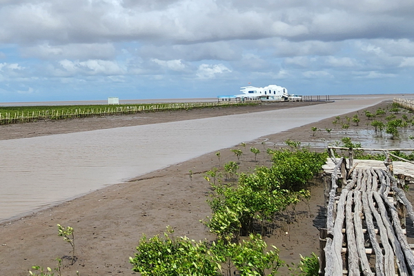 Cà Mau phát triển kinh tế biển gắn với thủy sản bền vững giai đoạn 2026