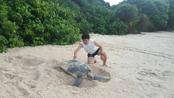 Binh Thuan: Launching the 2019 sea turtle conservation program