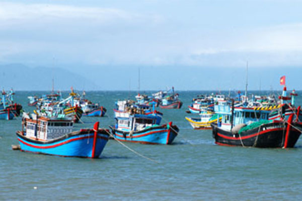 Bà Rịa -Vũng Tàu: Tổng sản lượng khai thác thủy sản 6 tháng đầu năm 2020 tăng 4,28%