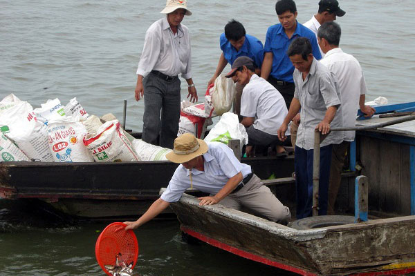 Nam Định: Tăng cường công tác bảo vệ, tái tạo nguồn lợi thủy sản