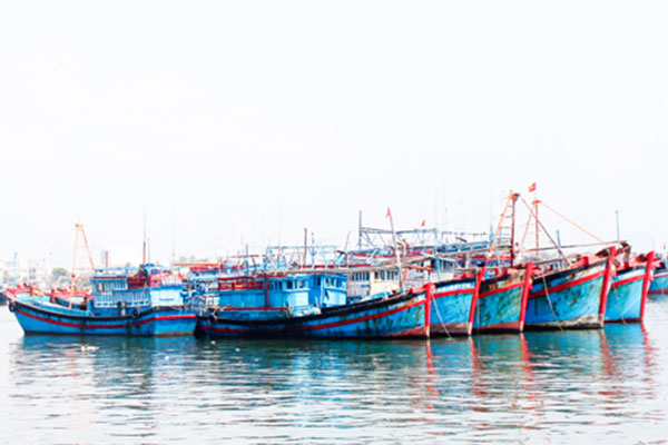 Vietnam: Strictly dealing with IUU fishing