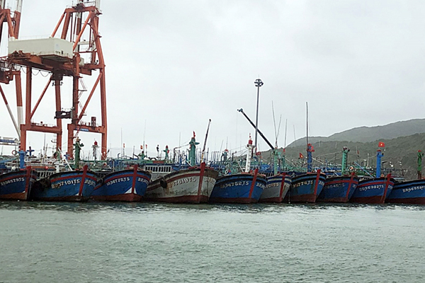 Bình Định: Triển khai thí điểm Nhật ký điện tử trên tàu khai thác xa bờ