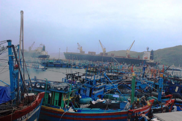 Bình Định: Ngư dân Quy Nhơn thụ hưởng nhiều chính sách hỗ trợ