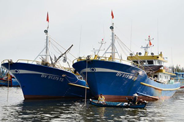 Bà Rịa - Vũng Tàu: Tiềm năng, thế mạnh trong phát triển nuôi trồng, đánh bắt, chế biến và tiêu thụ thủy sản