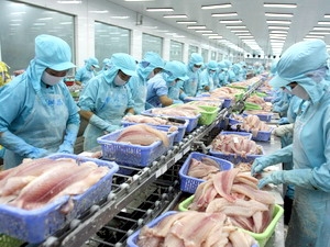 Seafood export: Remaining good growth rate even the difficulties