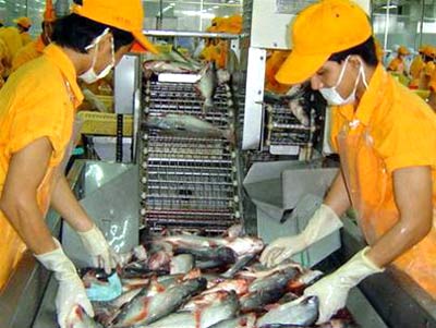 Tra fish exports to the EU grew strongly