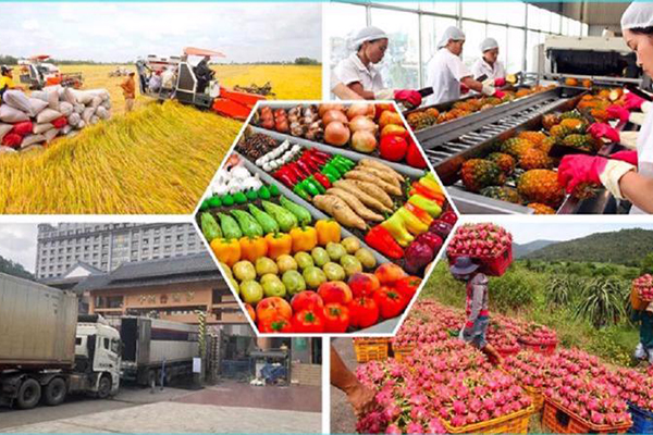 Các thị trường lớn tích cực nhập khẩu nông sản của Việt Nam