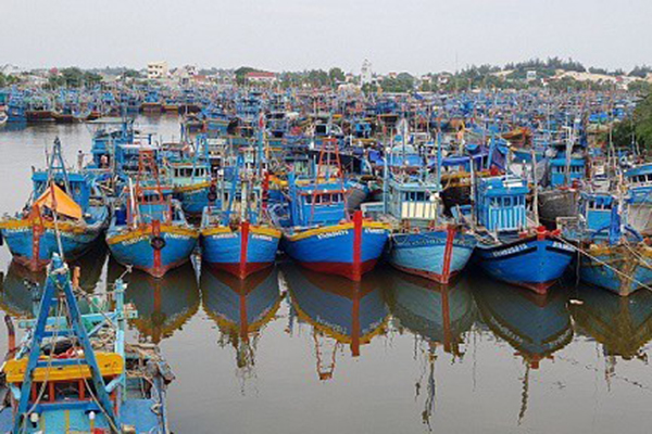 Không chấp thuận cải hoán, đóng mới tàu cá làm nghề lưới kéo