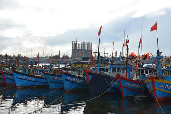 Tổng cộng đã có 57 cảng cá đã được chỉ định xác nhận nguồn gốc thủy sản