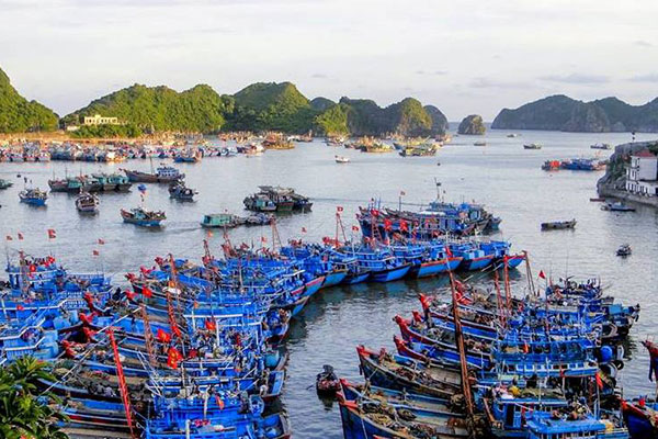 Hải Phòng: Triển khai chống khai thác hải sản bất hợp pháp năm 2020