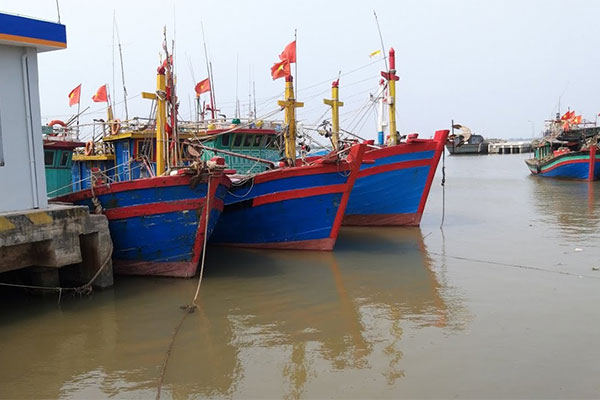 Tình hình sản xuất và quản lý hoạt động thủy sản ở Nam Định
