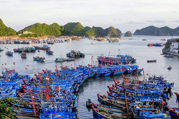 Hải Phòng: Công bố mở cảng cá Trân Châu và cảng cá Ngọc Hải