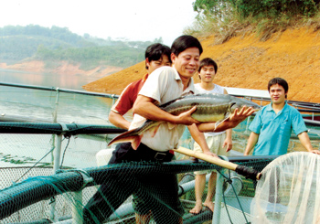 Lao Cai province: Enhancing the implementation of prevention for fish during the transition period