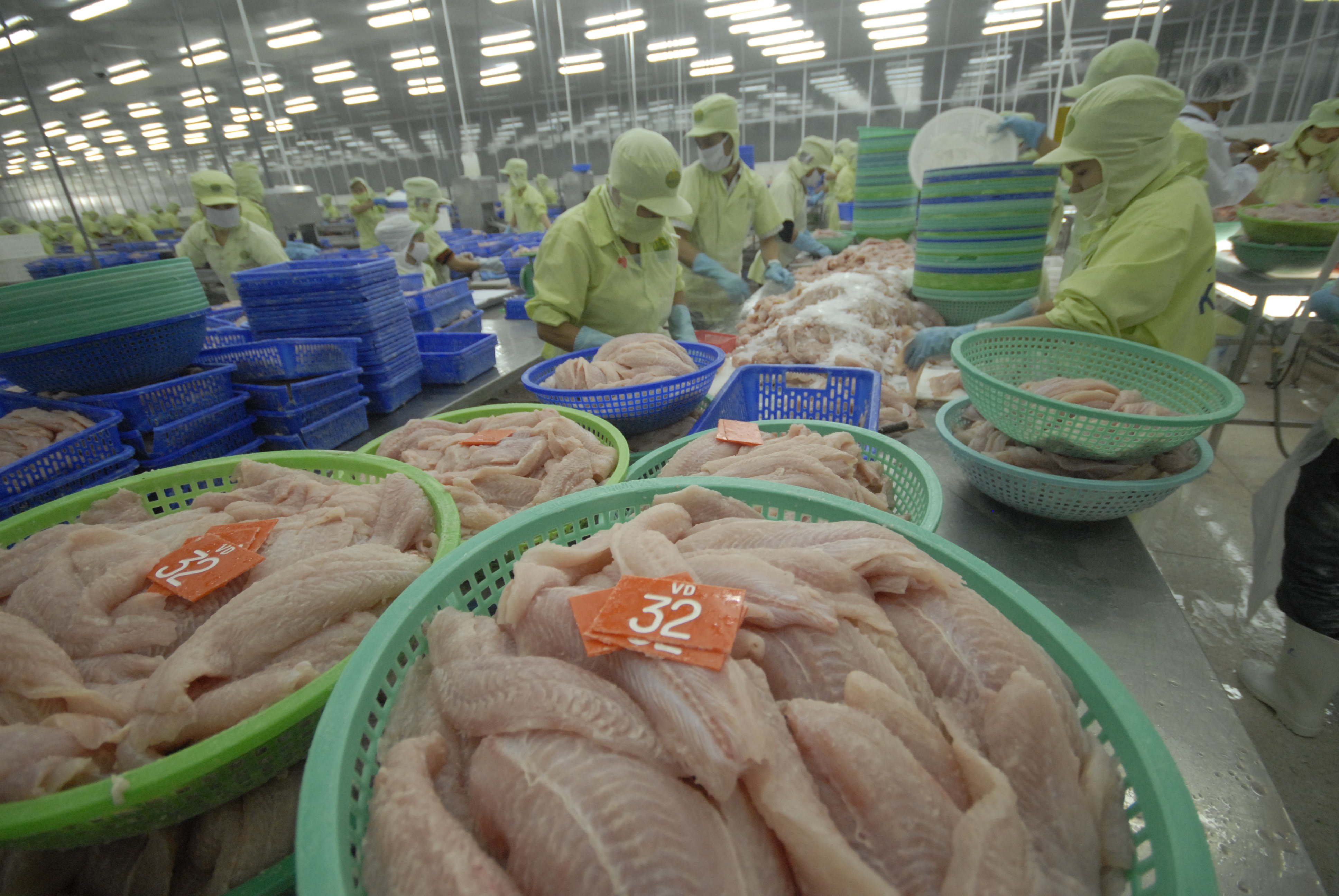 Fisheries production in the first five months up 3.7 per cent