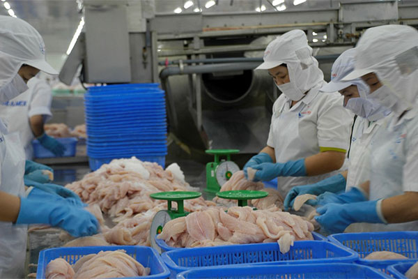 Kiểm soát An toàn thực phẩm tại công đoạn Chế biến cá và các sản phẩm cá bộ Siluriformes xuất khẩu sang Hoa Kỳ