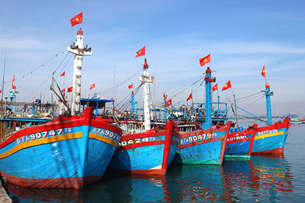 Bình Thuận: 7/2019 đến nay, trên địa bàn tỉnh chưa phát hiện tàu cá vi phạm khai thác trái phép bị nước ngoài bắt giữ