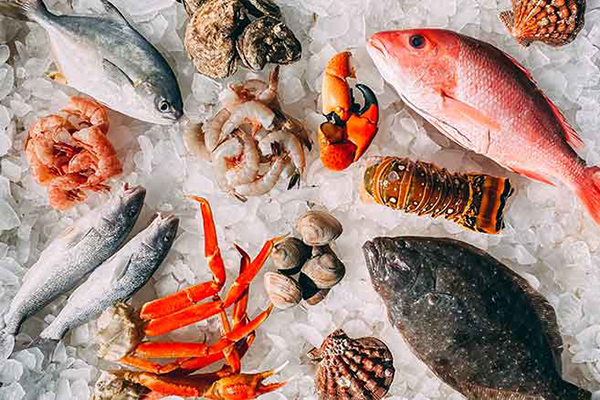 Cập nhật thông tin thị trường thủy sản thế giới – Phần 2, hết