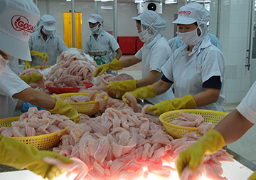 Cơ sở sản xuất kinh doanh thực phẩm thủy sản phải đảm bảo điều kiện an toàn vệ sinh thực phẩm