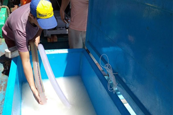Công nghệ đá sệt thay đổi phương thức bảo quản thủy sản trên tàu cá ở Việt Nam