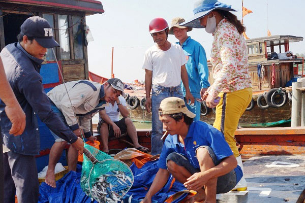 Đà Nẵng: Kiểm tra, giám sát an toàn thực phẩm tàu cá