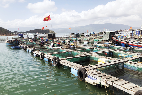 Đồng Nai: Tăng tỷ trọng thủy sản nuôi trồng, giảm áp lực khai thác tự nhiên