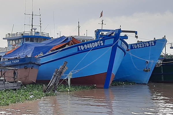 Đồng Tháp: Không có tàu cá vi phạm vùng biển nước ngoài nhờ tuyên truyền,