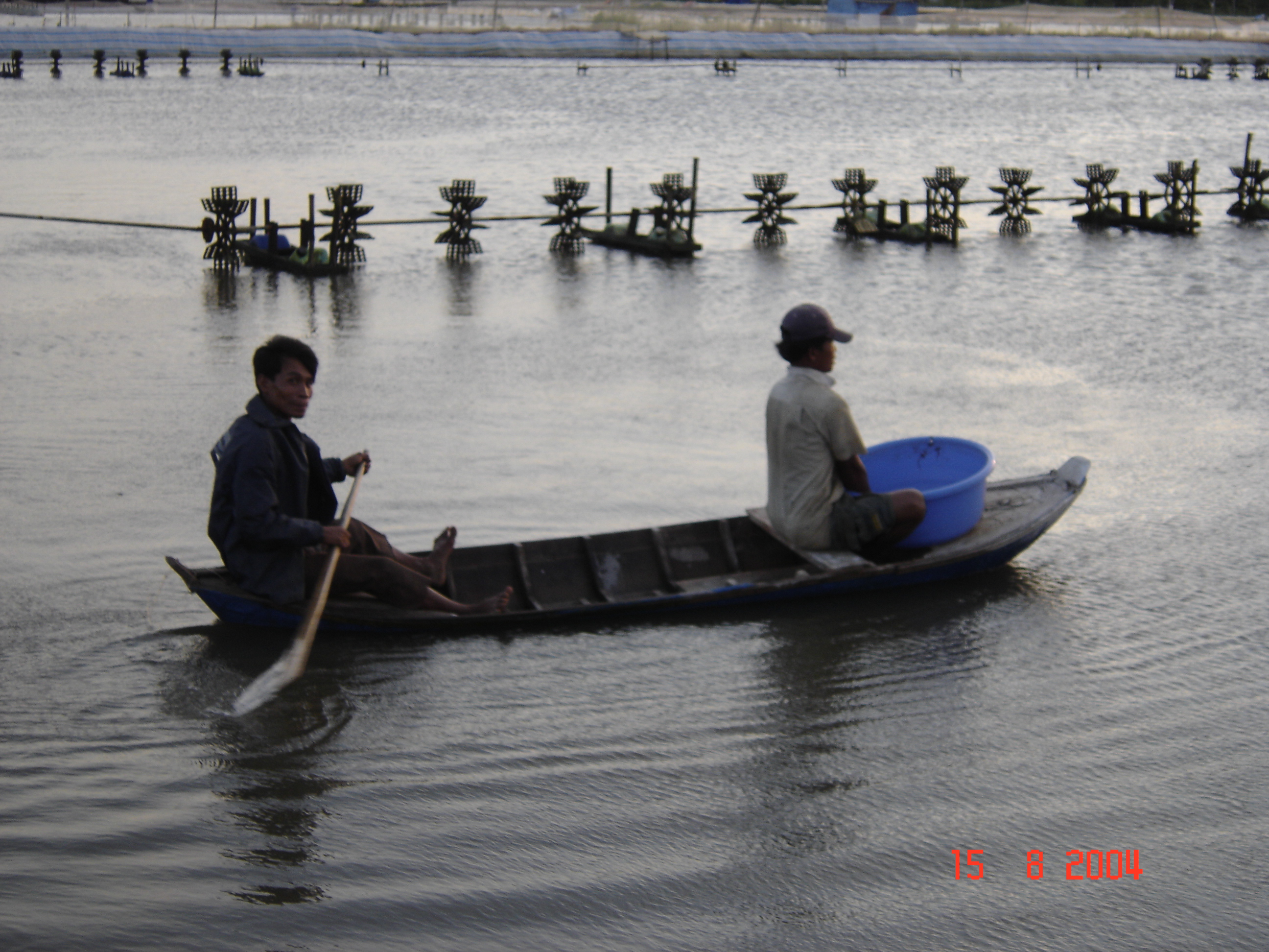 Kien Giang focuses on salty - brackish – fresh water aquaculture