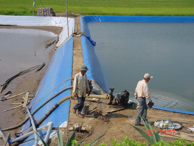 Sustainable shrimp farming in Quang Binh