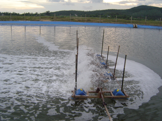 Hai Phong city: Strengthen the management of aquaculture activities in the last months of 2018