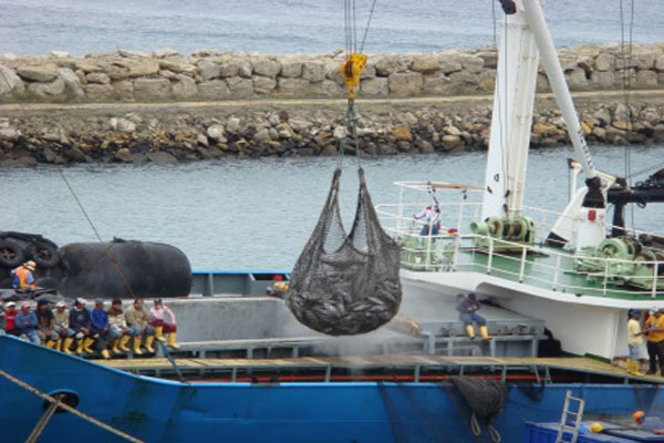 Đội tàu cá ngừ của Ecuador đặt mục tiêu đạt chứng nhận MSC vào năm 2020